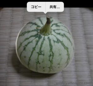 【iPhone】アルバムの写真を長押しで切り抜いてみた！