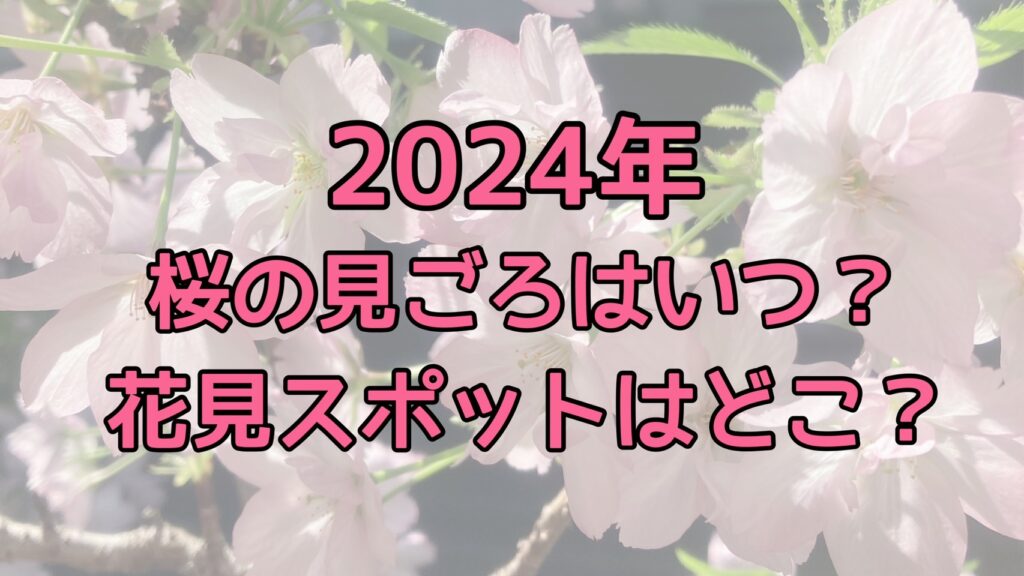 【2024年】桜の見ごろはいつ？花見スポットはどこ？【さくらCh.】